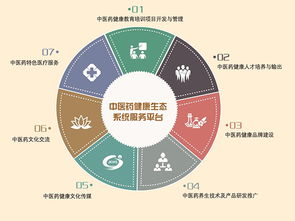 藏象集團 引領互聯網數據服務新紀元的創新力量